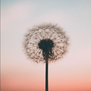 Meet your Posher, Daniela